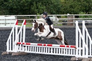 Class 4 - Fences 2'3 to 2'6